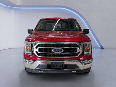 2021 Ford F150 PU Base