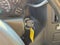 2005 Chevrolet Express Cargo Van Base