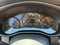 2024 Mazda Mazda CX-50 2.5 Turbo Premium Plus Package